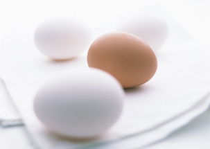 5步教你挑选优质鸡蛋 蛋壳多种妙用大公开